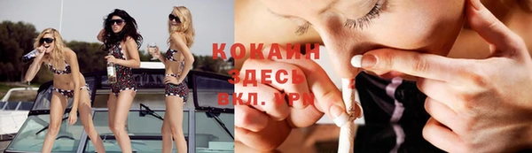 тгк Белокуриха