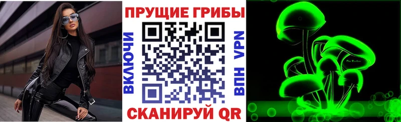 Псилоцибиновые грибы Magic Shrooms  Купить  Ветлуга 