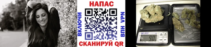 Купить где Ветлуга Бошки марихуана индика